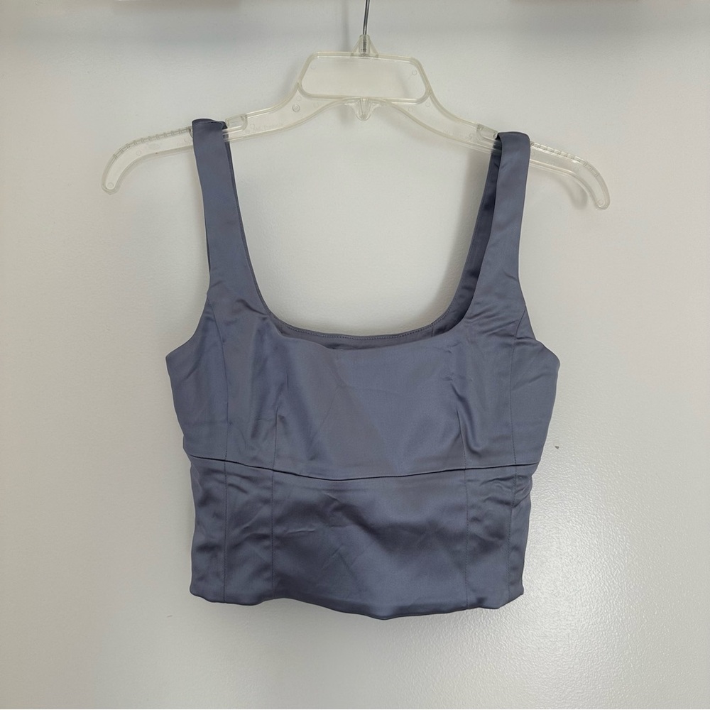Aritzia Shine Bustier